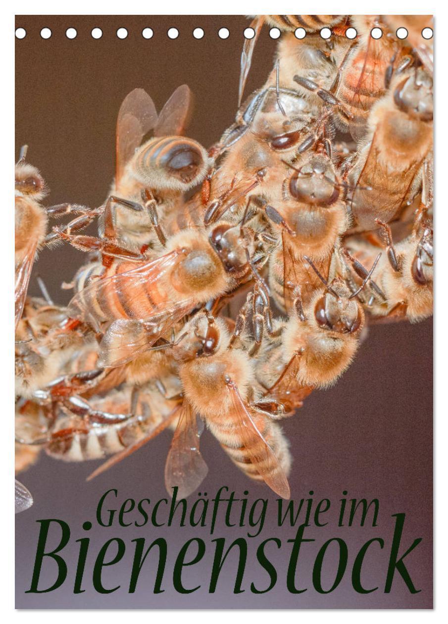 Cover: 9783383127205 | Geschäftig wie im Bienenstock (Tischkalender 2024 DIN A5 hoch),...