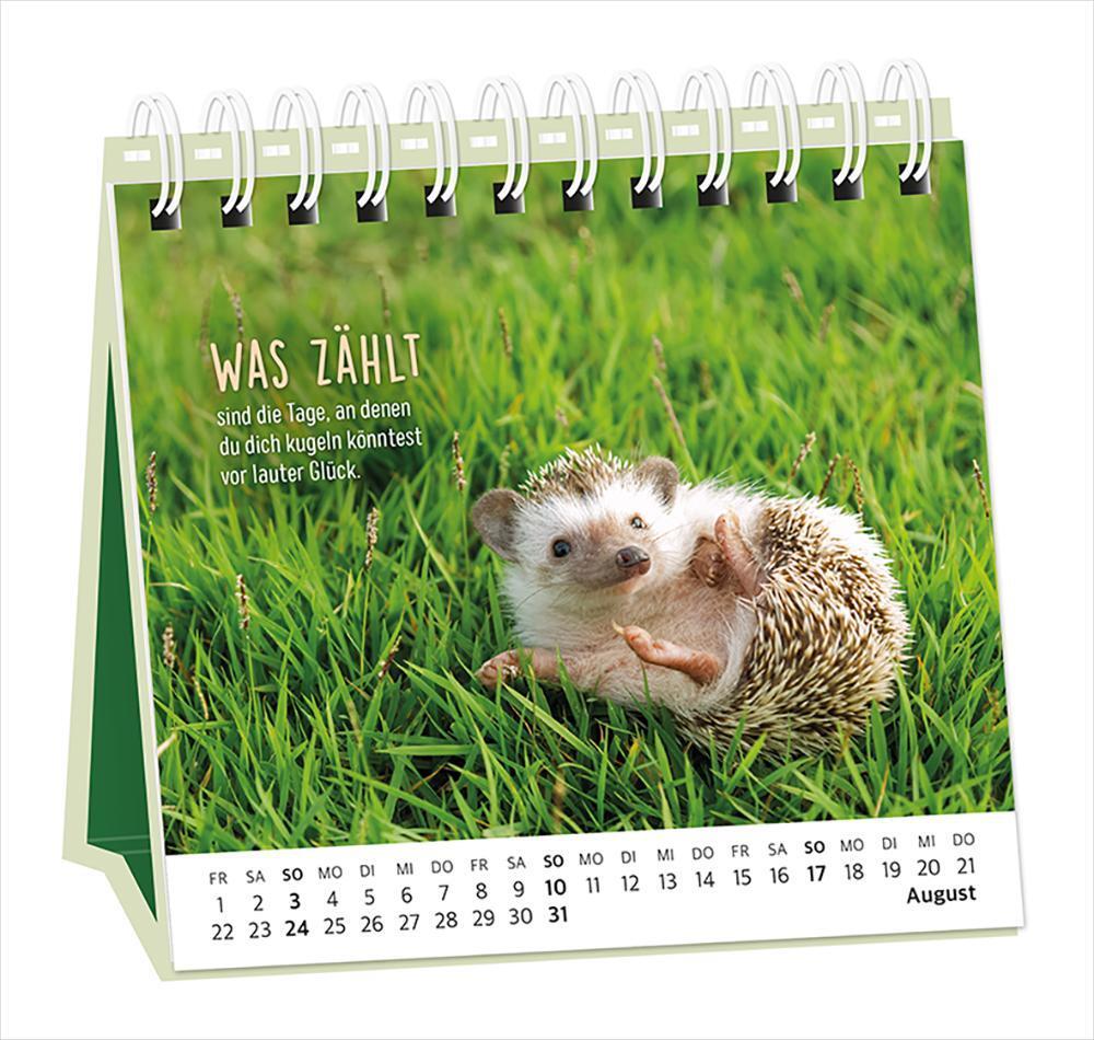 Bild: 9783986360948 | Tischkalender 2025 Happymacher | Tischkalender | Original | Kalender