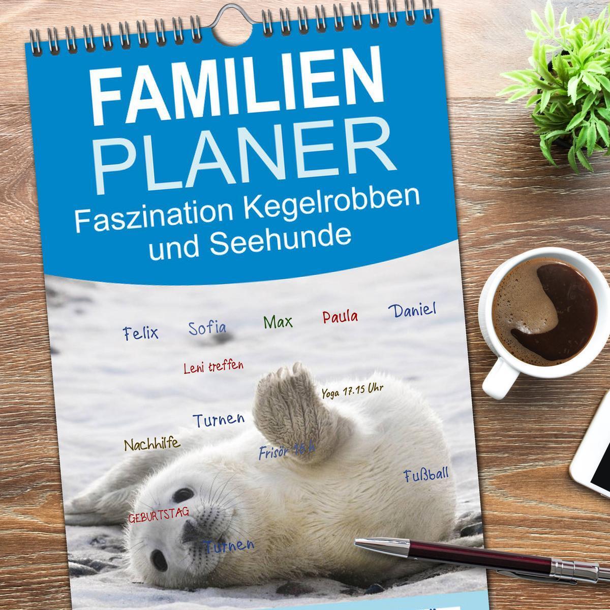 Bild: 9783457117491 | Familienplaner 2025 - Faszination Kegelrobben und Seehunde mit 5...