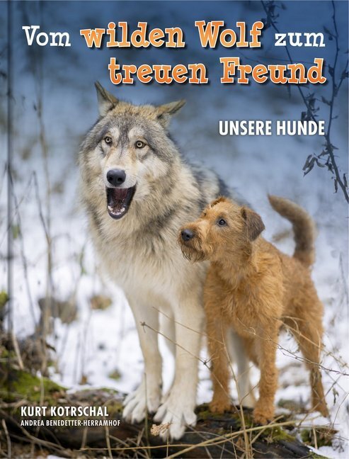 Cover: 9783903147034 | Vom wilden Wolf zum treuen Freund | Unsere Hunde | Kotrschal (u. a.)