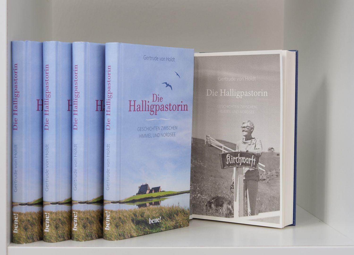 Bild: 9783963401800 | Die Halligpastorin | Geschichten zwischen Himmel und Nordsee | Holdt