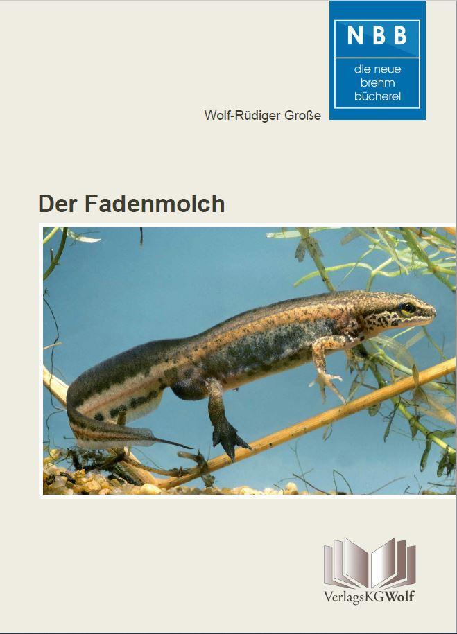 Cover: 9783894322854 | Der Fadenmolch | Lissotriton helveticus | Wolf-Rüdiger Große | Buch
