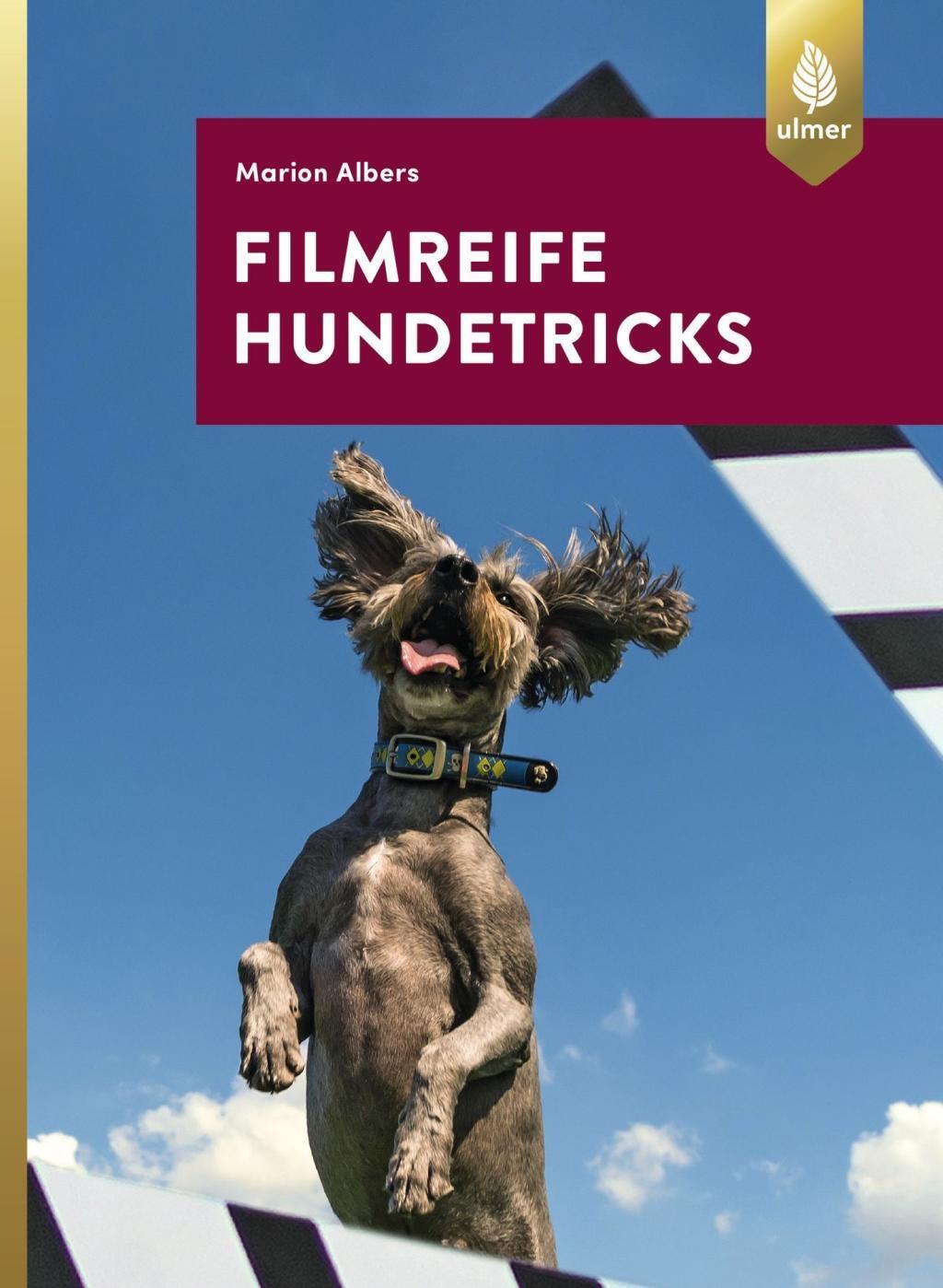 Cover: 9783818603434 | Filmreife Hundetricks | Marion Albers | Taschenbuch | Deutsch | 2018