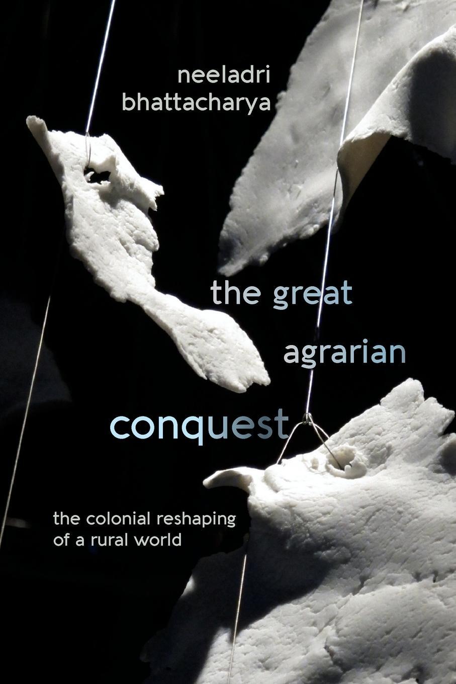 Cover: 9781438477404 | The Great Agrarian Conquest | The Colonial Reshaping of a Rural World