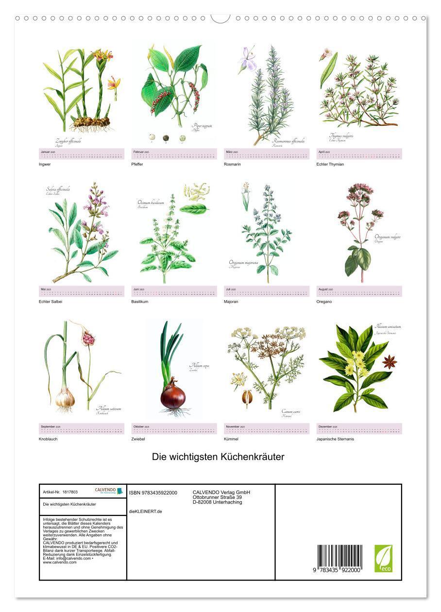 Bild: 9783435922000 | Die wichtigsten Küchenkräuter (Wandkalender 2025 DIN A2 hoch),...