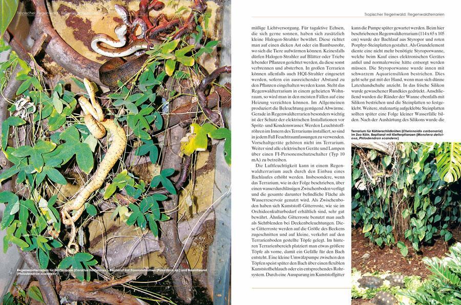 Bild: 9783866592230 | Pflanzen im Terrarium | Beat Akeret | Buch | Terrarien Bibliothek