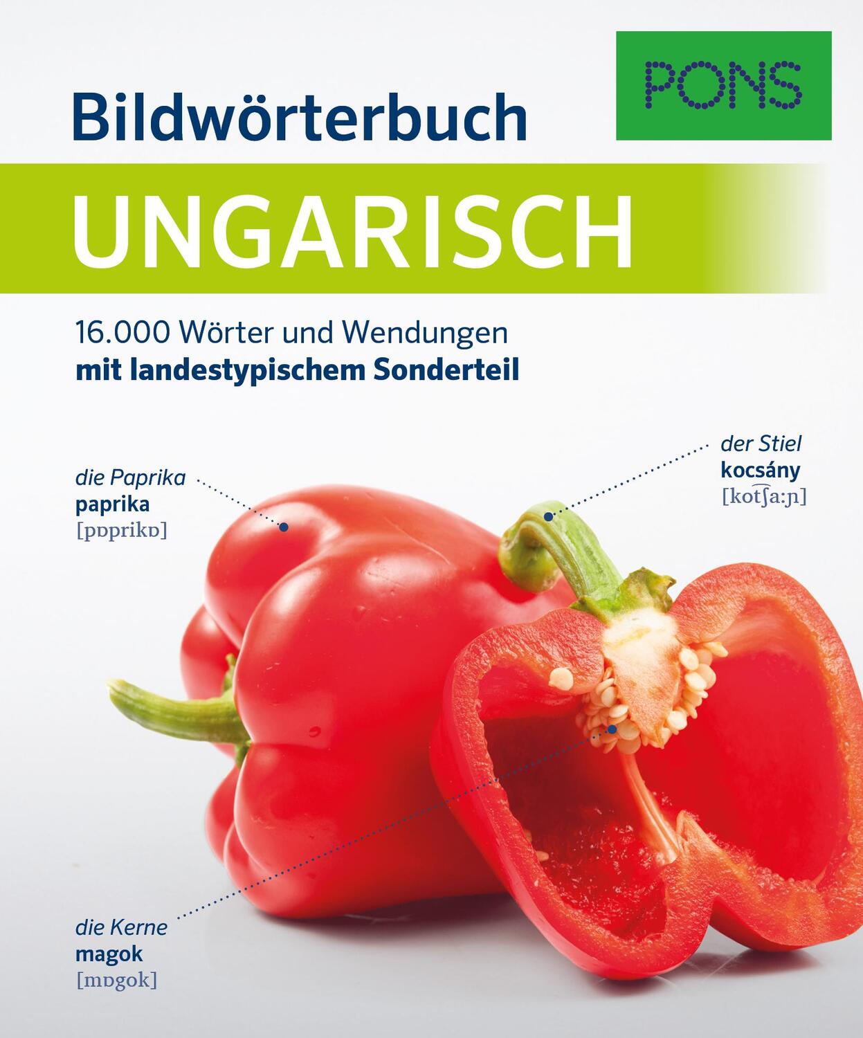 Cover: 9783125162754 | PONS Bildwörterbuch Ungarisch | Taschenbuch | PONS Bildwörterbuch