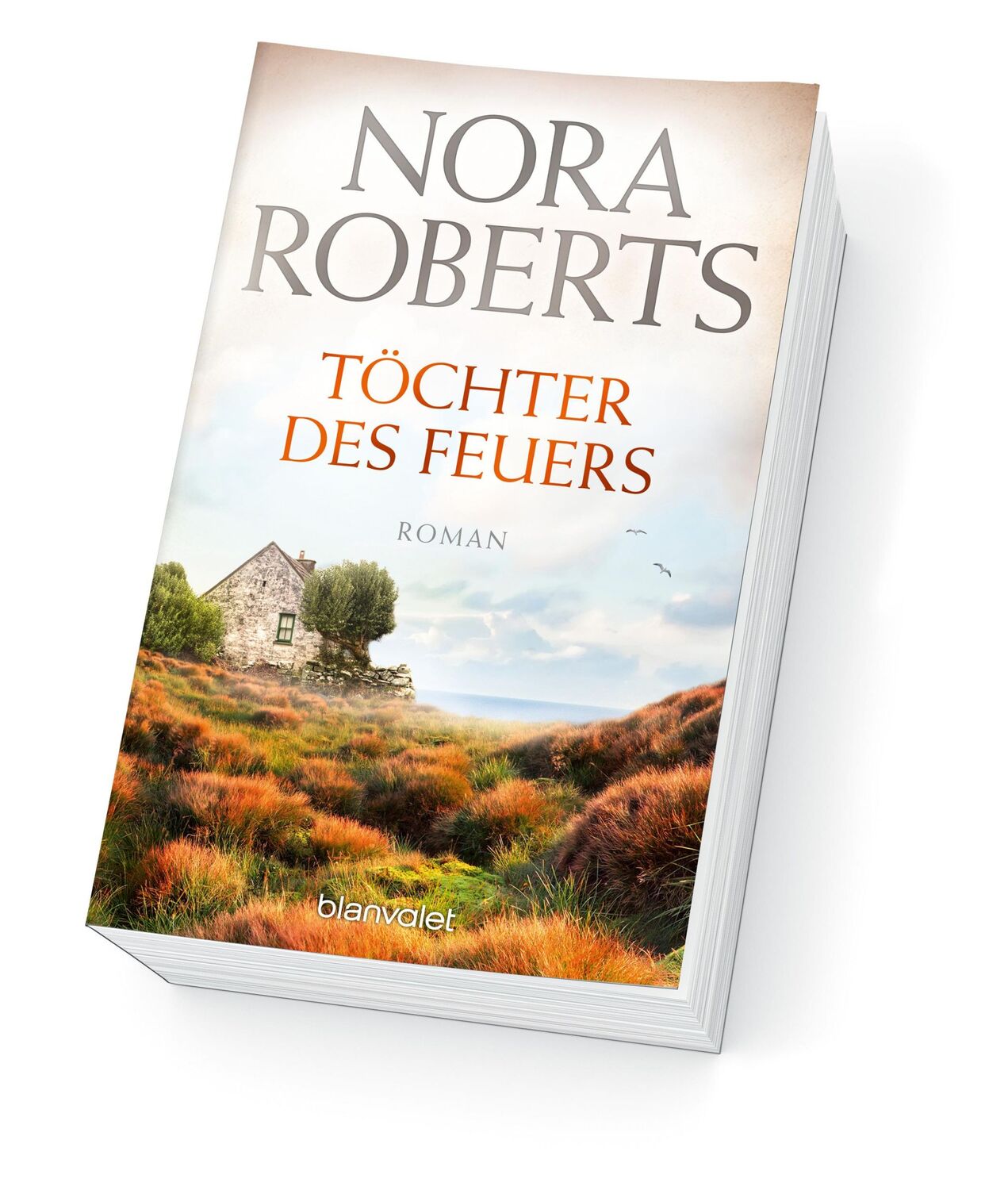 Bild: 9783442384129 | Töchter des Feuers | Nora Roberts | Taschenbuch | Die Irland-Trilogie