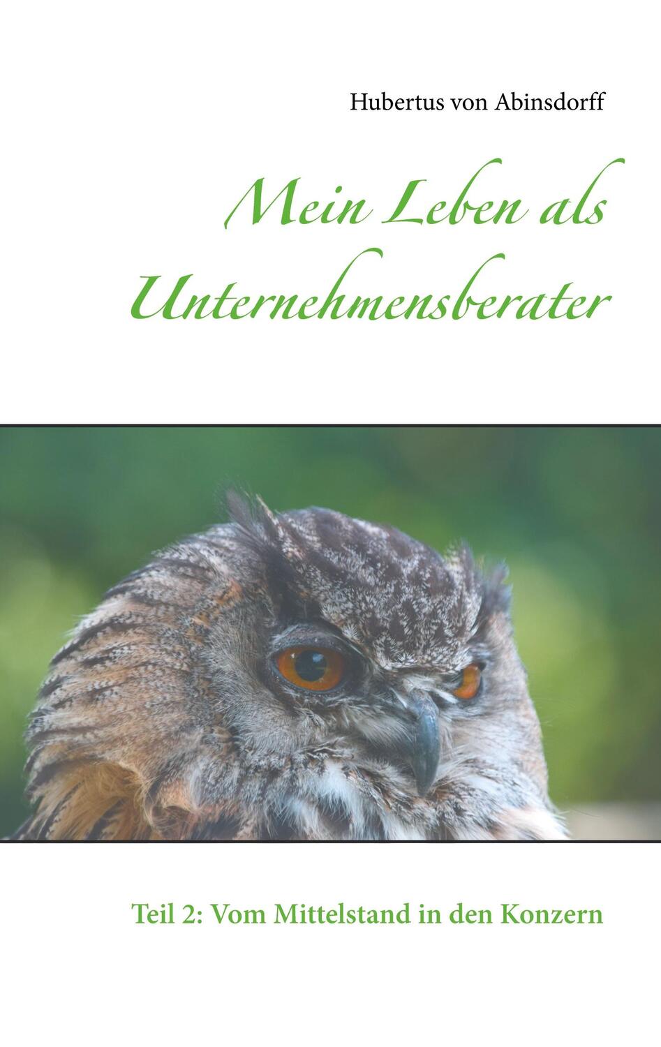 Cover: 9783751977159 | Mein Leben als Unternehmensberater | Hubertus von Abinsdorff | Buch