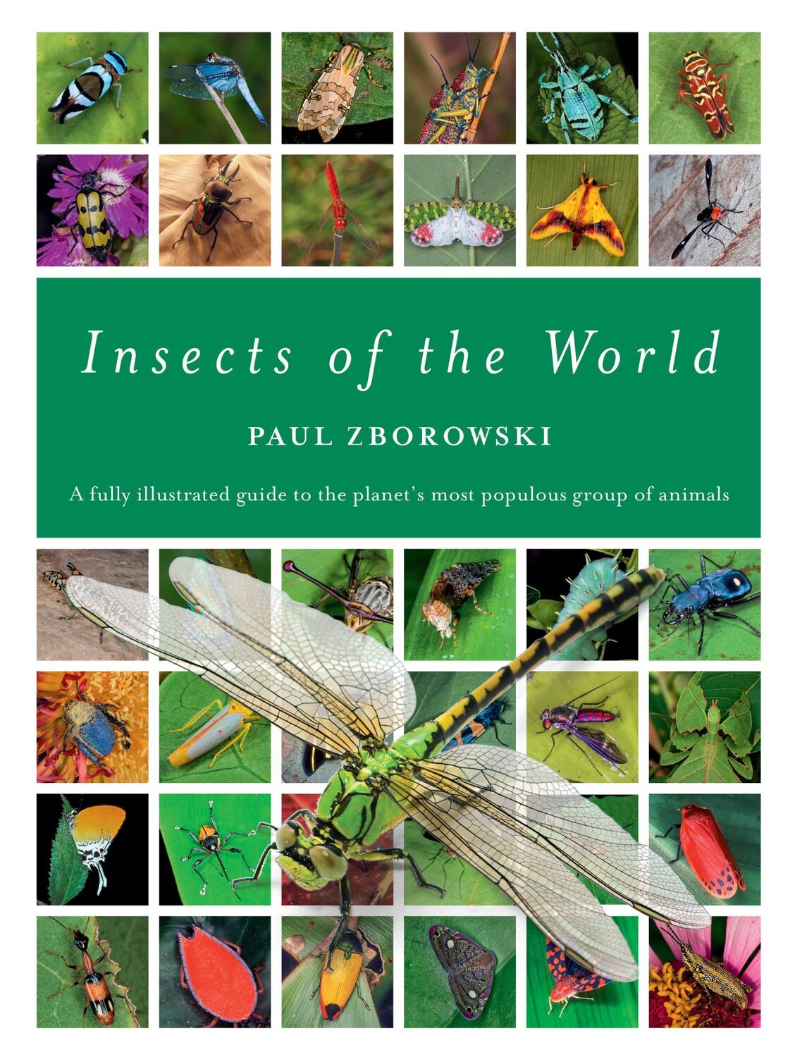 Cover: 9781925546095 | Insects of the World | Paul Zborowski | Buch | Englisch | 2024