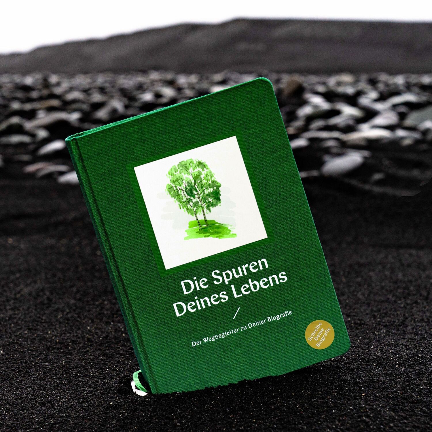 Bild: 9783948481025 | Die Spuren Deines Lebens | Der Wegbegleiter zu Deiner Biografie | Buch