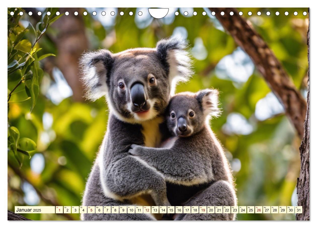 Bild: 9783435718443 | Australiens faszinierende Fauna (Wandkalender 2025 DIN A4 quer),...