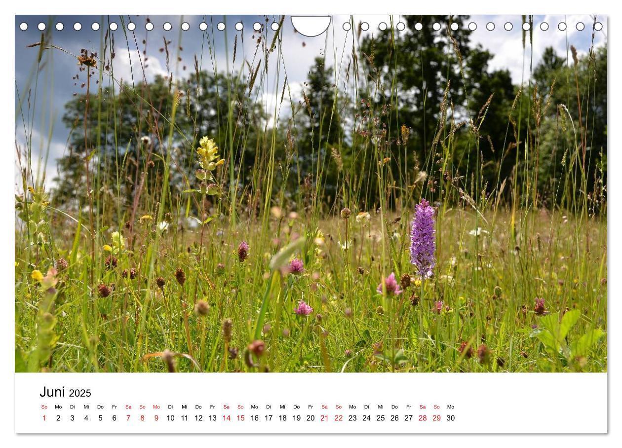 Bild: 9783435597086 | Zauberhafte Schwäbische Alb (Wandkalender 2025 DIN A4 quer),...