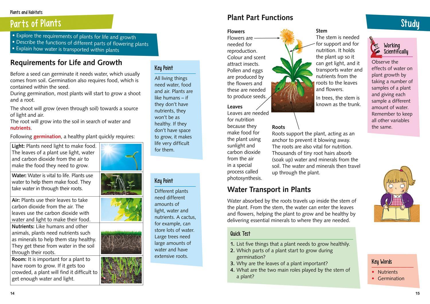 Bild: 9780008339333 | KS2 Science Study Book | Ideal for Use at Home | Collins KS2 | Buch