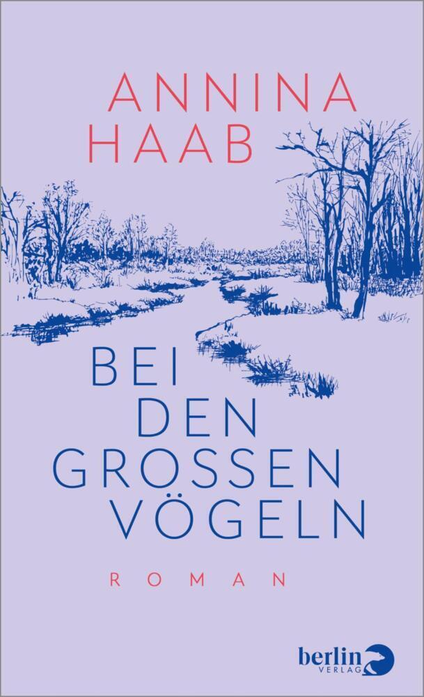 Cover: 9783827014276 | Bei den großen Vögeln | Roman | Annina Haab | Buch | Deutsch | 2021