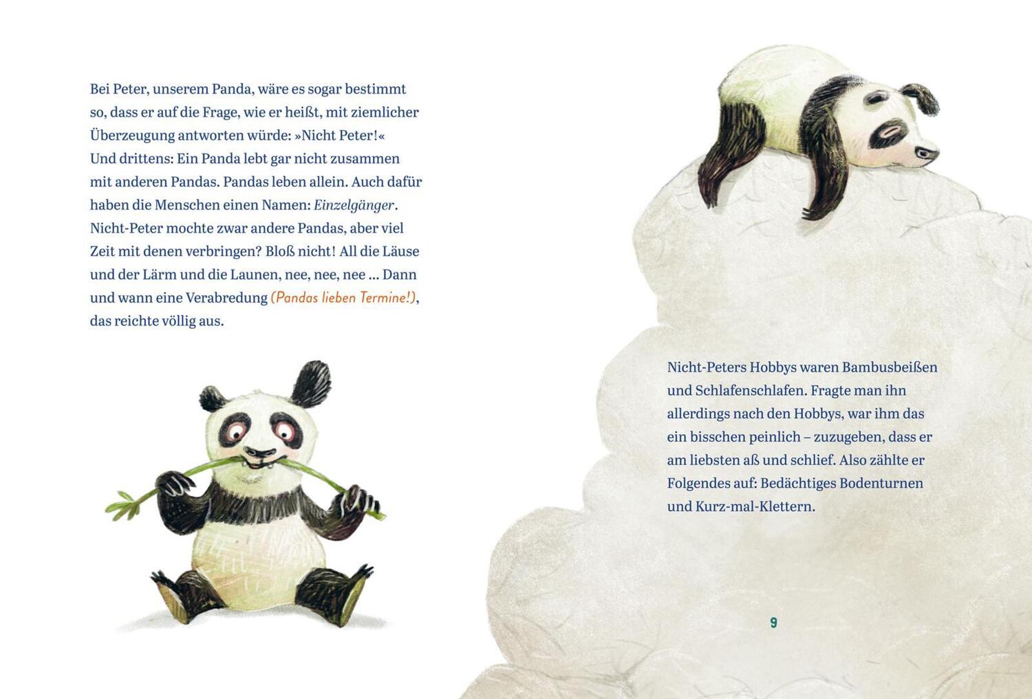 Bild: 9783551521804 | Panda-Pand | Sasa Stanisic | Buch | 80 S. | Deutsch | 2021 | Carlsen