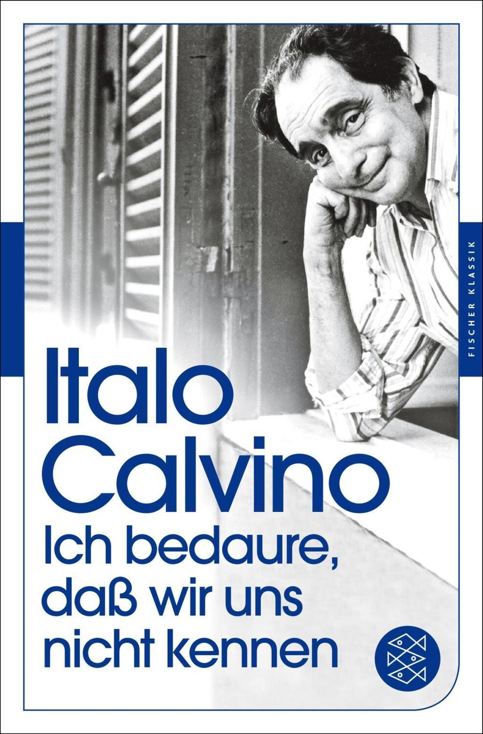 Cover: 9783596905355 | Ich bedaure, daß wir uns nicht kennen | Italo Calvino | Taschenbuch