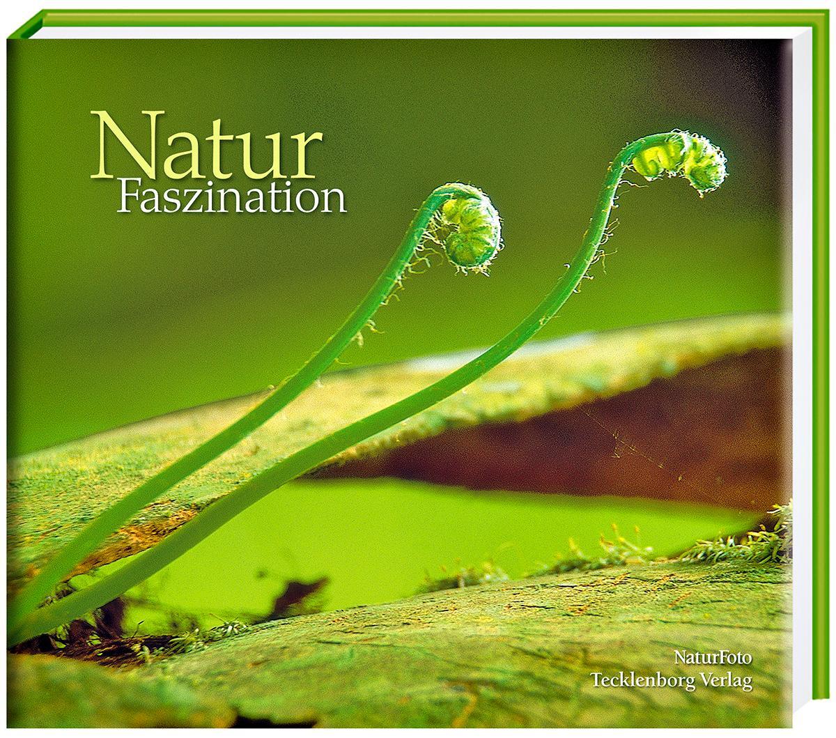 Cover: 9783939172673 | Natur Faszination | Buch | 128 S. | Deutsch | 2010 | EAN 9783939172673