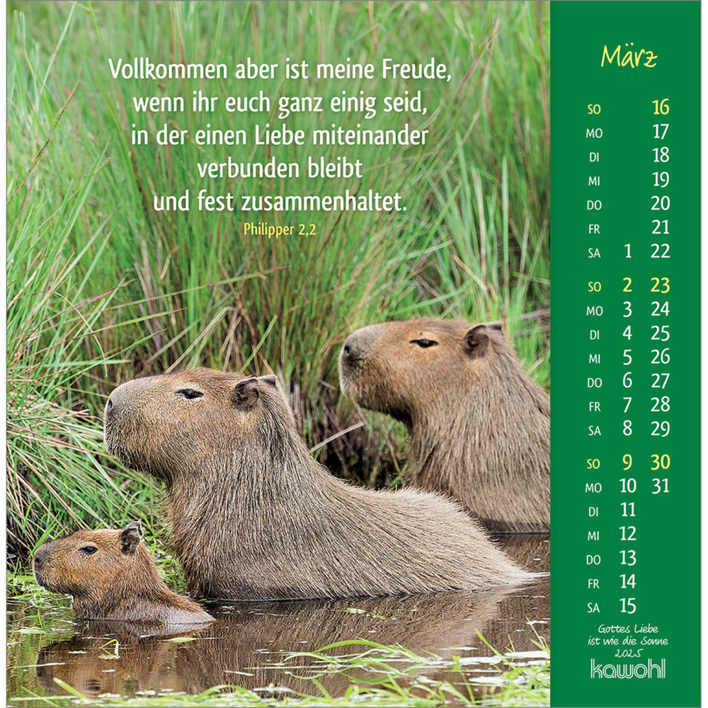 Bild: 9783754848050 | Gottes Liebe ist wie die Sonne 2025 | Tierkalender mit Bibelworten