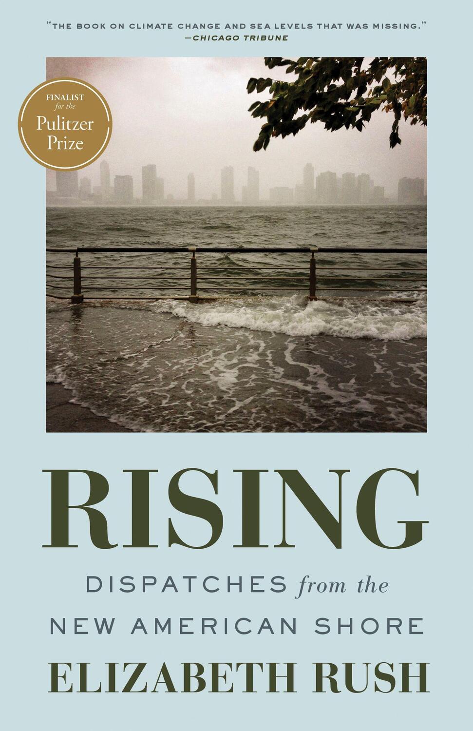 Cover: 9781571313812 | Rising: Dispatches from the New American Shore | Elizabeth Rush | Buch