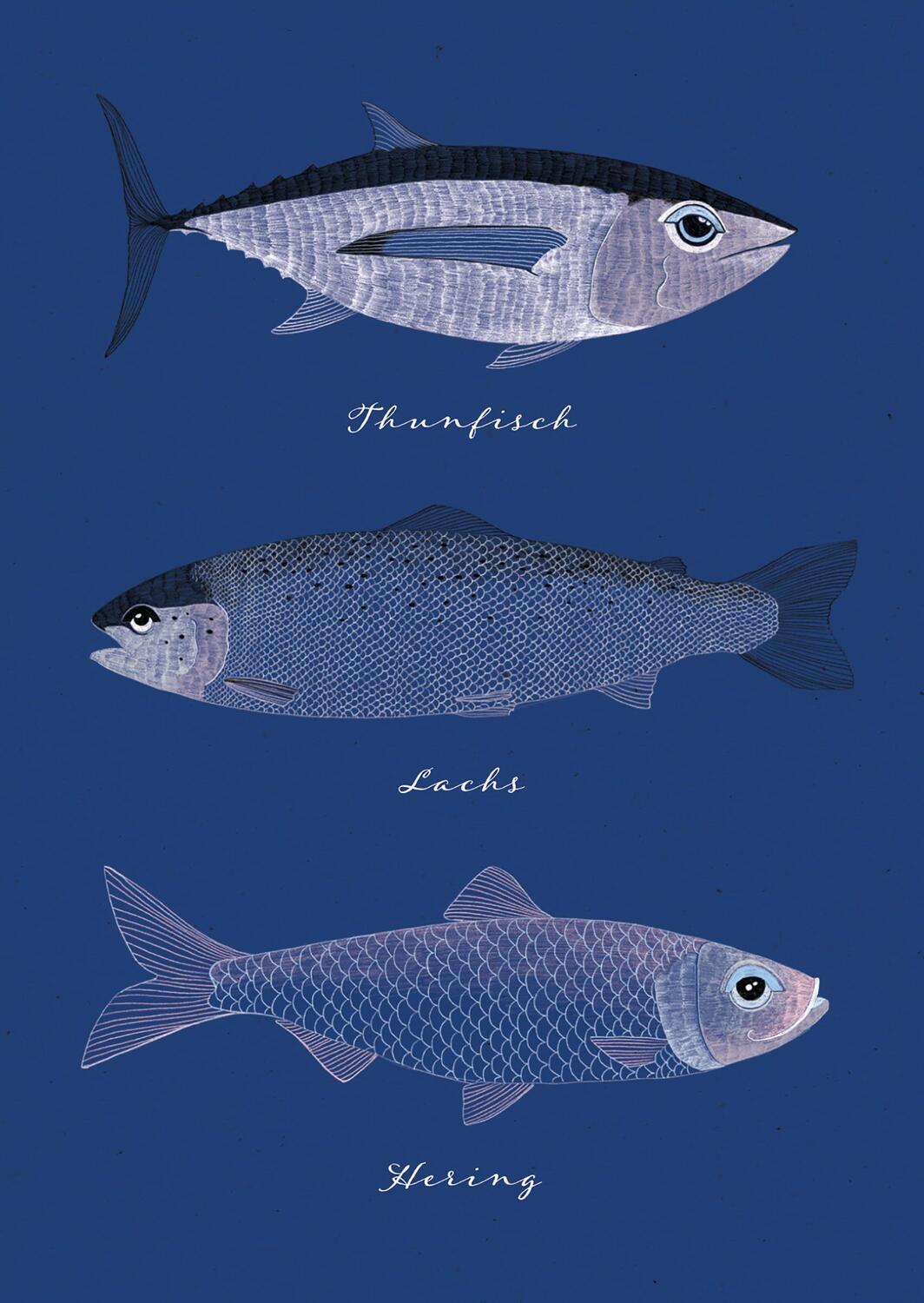 Bild: 4250222903504 | meer-verliebt "Fische" | 10 Postkarten aus Naturpapier | Anne Weigel