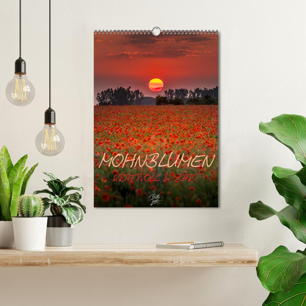 Bild: 9783435920167 | Mohnblumen - kraftvoll und zart (Wandkalender 2025 DIN A3 hoch),...