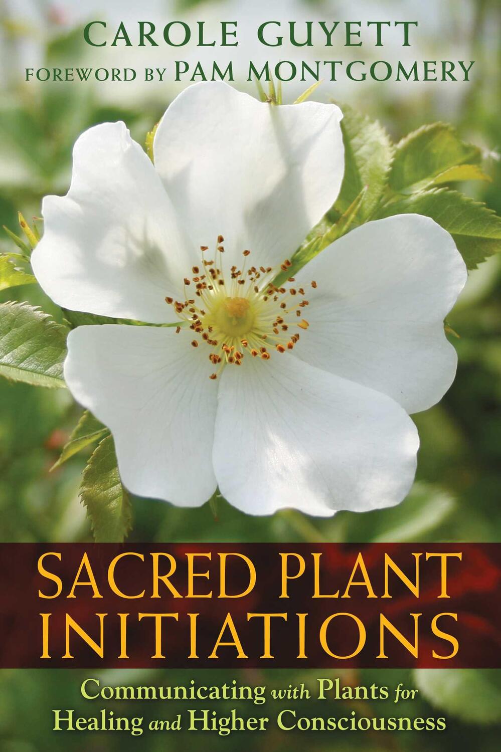 Cover: 9781591432135 | Sacred Plant Initiations | Carole Guyett | Taschenbuch | Englisch