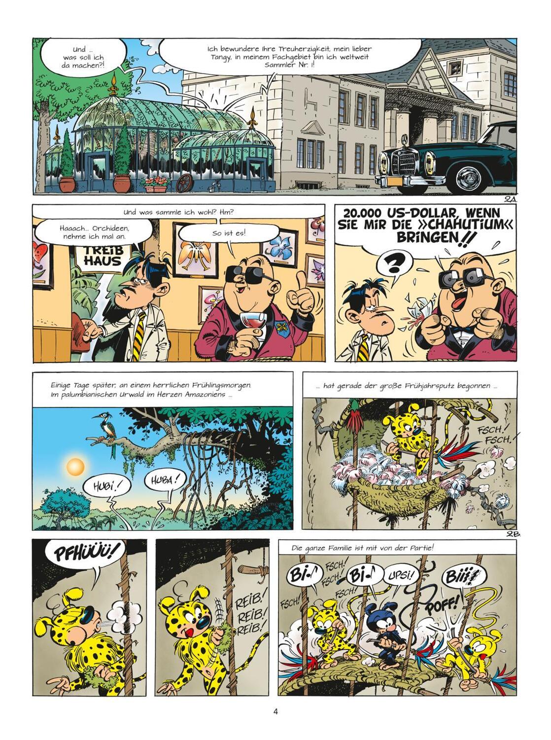 Bild: 9783551796967 | Marsupilami 33: Die Orchidee der Chahutas | André Franquin (u. a.)