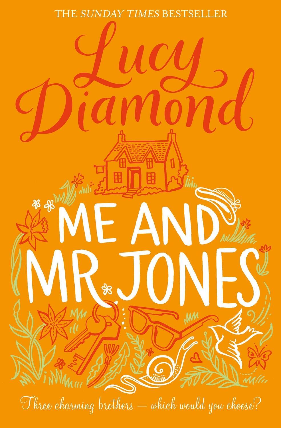 Cover: 9781509811083 | Me and Mr Jones | Lucy Diamond | Taschenbuch | Englisch | 2016