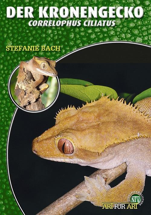 Cover: 9783937285771 | Der Kronengecko | Rhacodactylus ciliatus. Art für Art | Stefanie Bach