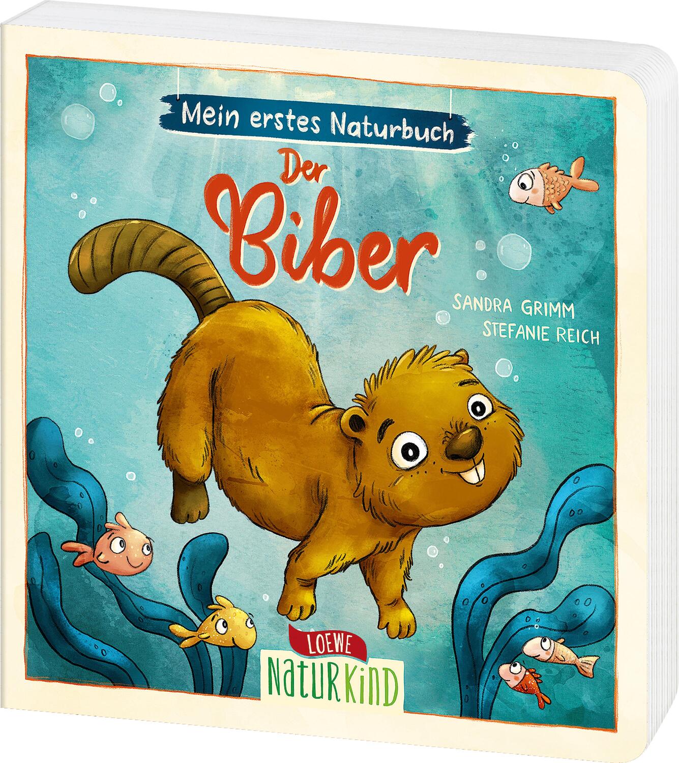Cover: 9783743213180 | Mein erstes Naturbuch - Der Biber | Sandra Grimm | Buch | Naturkind