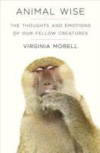 Cover: 9781906964917 | Animal Wise | The Thoughts and Emotions of Animals | Virginia Morell