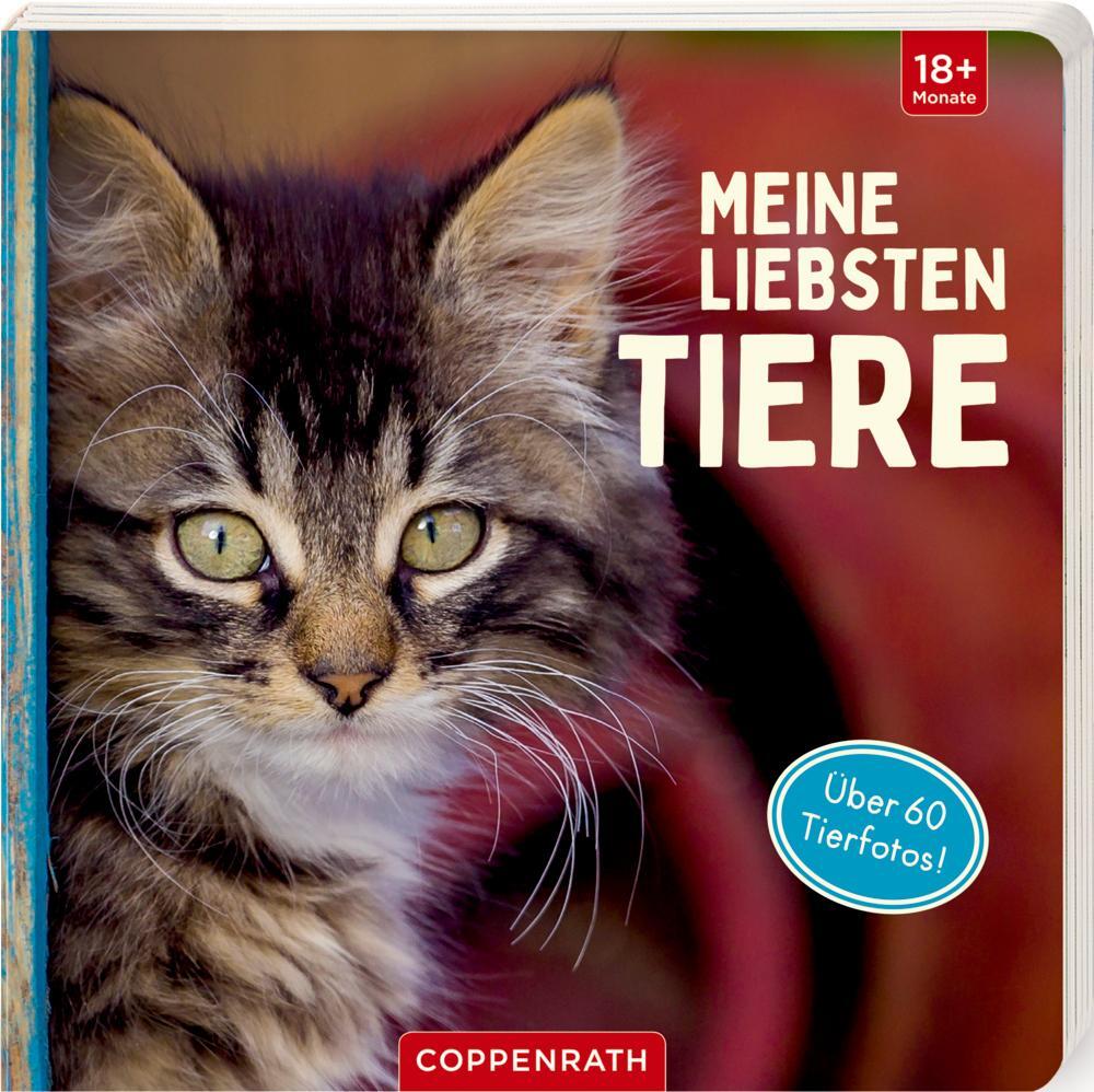 Cover: 9783649640684 | Meine liebsten Tiere | Buch | Pappe | 28 S. | Deutsch | 2022