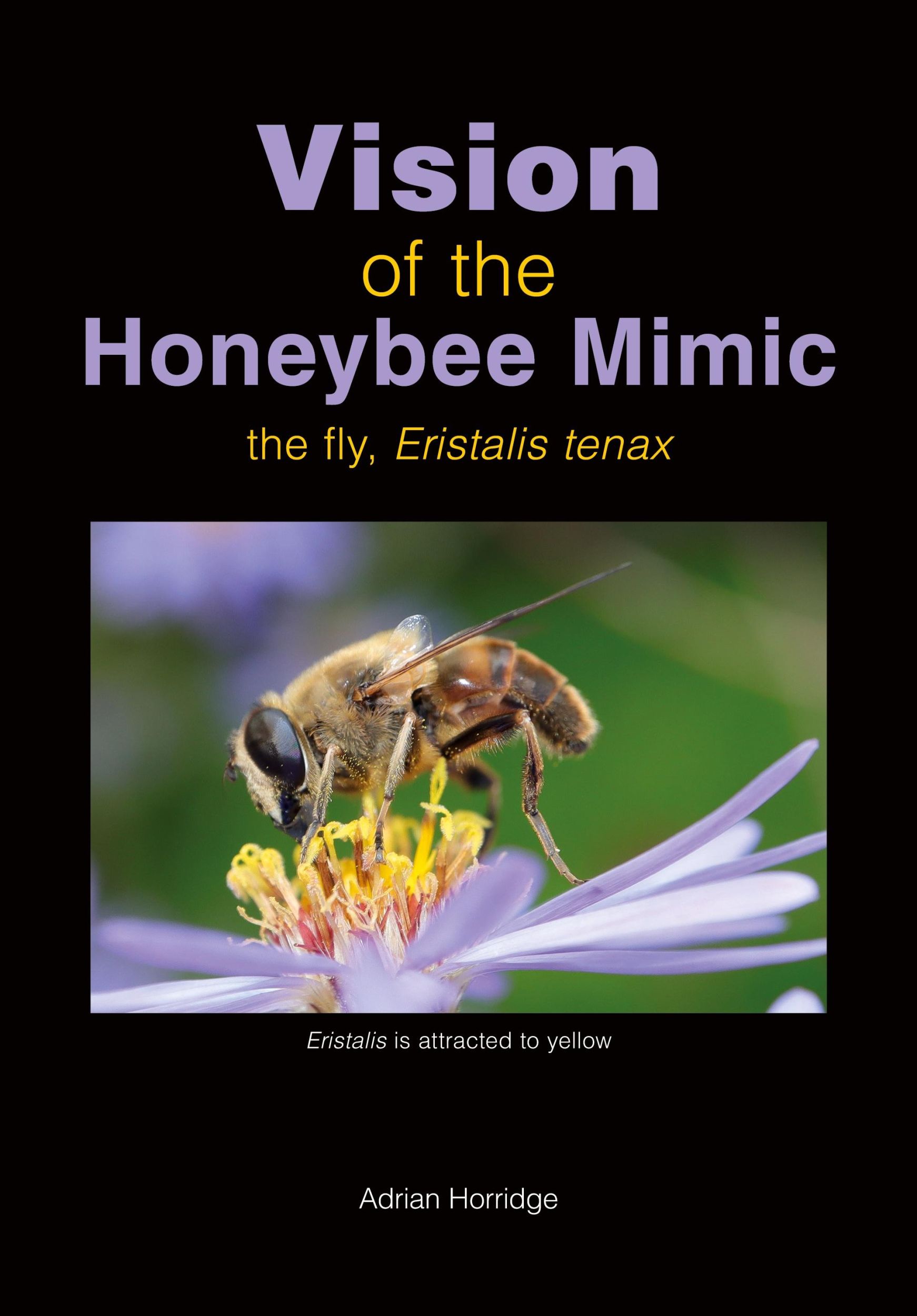 Cover: 9781914934759 | Vision of the Honeybee Mimic | Adrian Horridge | Taschenbuch | 2024