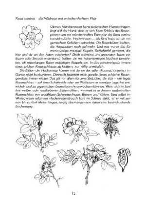 Bild: 9783937107059 | Ein botanischer Märchengarten | Pflanzenmärchen und -porträts | Buch