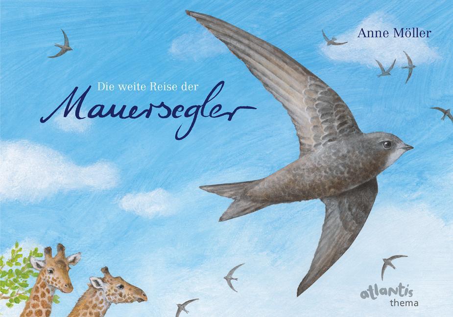 Cover: 9783715206226 | Die weite Reise der Mauersegler | Anne Möller | Buch | Deutsch | 2011