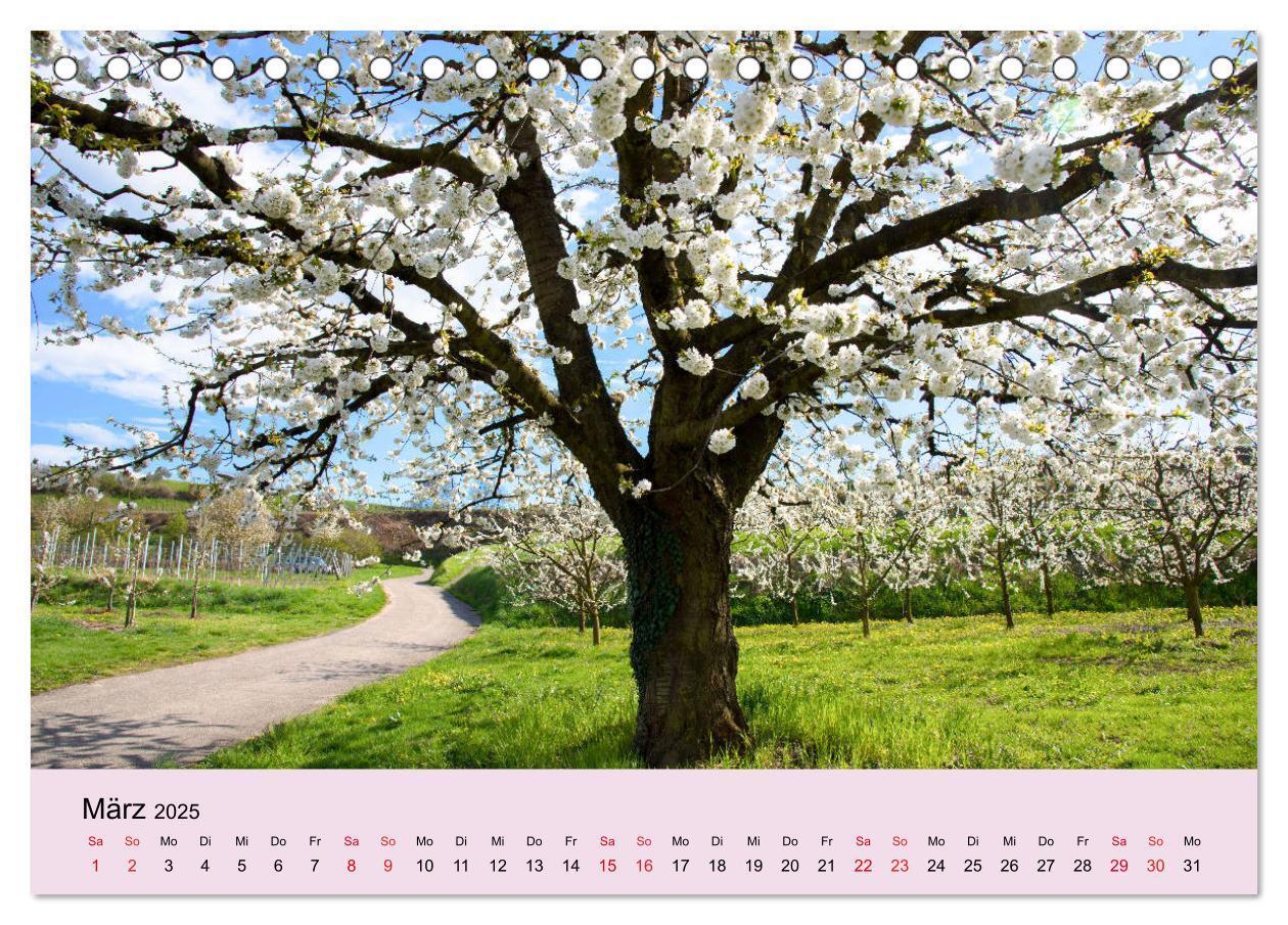 Bild: 9783383794254 | Augenblicke im Kaiserstuhl (Tischkalender 2025 DIN A5 quer),...