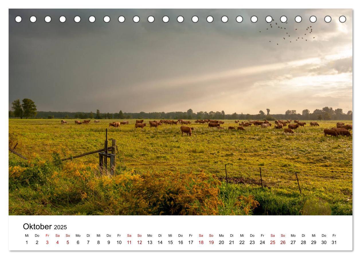 Bild: 9783435198672 | Unterwegs im Spreewald (Tischkalender 2025 DIN A5 quer), CALVENDO...