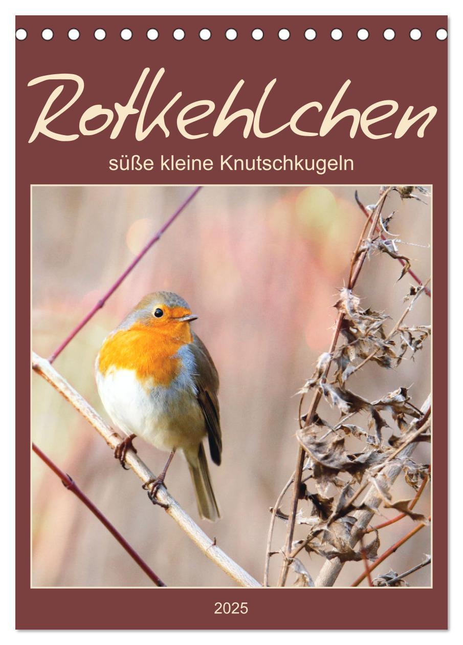 Cover: 9783435916948 | Rotkehlchen, süße kleine Knutschkugeln (Tischkalender 2025 DIN A5...