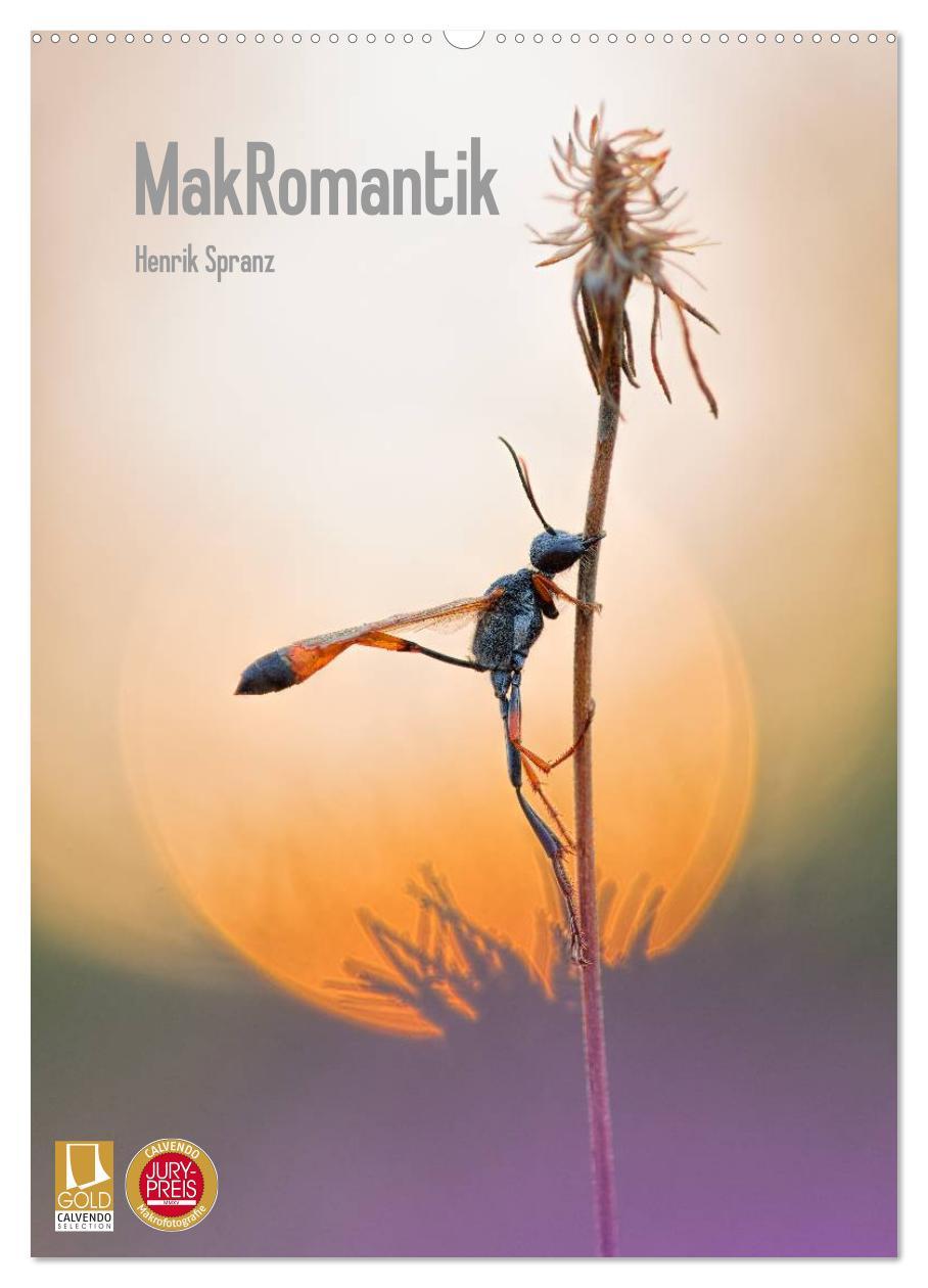 Cover: 9783457031797 | MakRomantik (Wandkalender 2025 DIN A2 hoch), CALVENDO Monatskalender