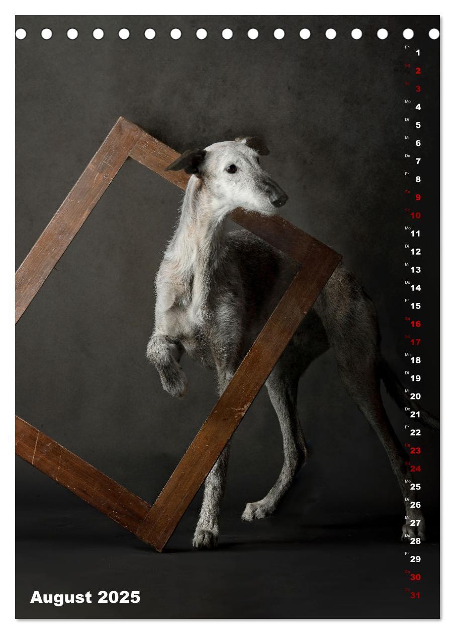 Bild: 9783457230732 | dogmuse deluxe (Tischkalender 2025 DIN A5 hoch), CALVENDO...