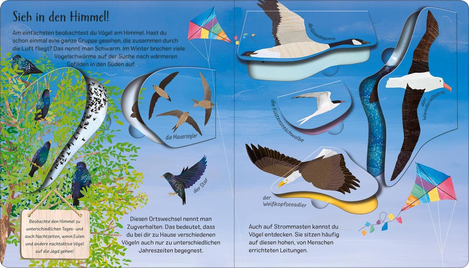 Bild: 9783845852218 | Mit einem Ei fängt alles an | Die Welt der Vögel | Becky Davies | Buch