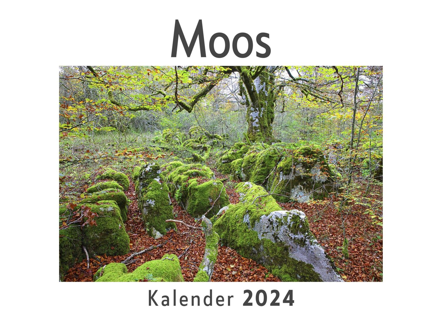 Cover: 9783750545496 | Moos (Wandkalender 2024, Kalender DIN A4 quer, Monatskalender im...