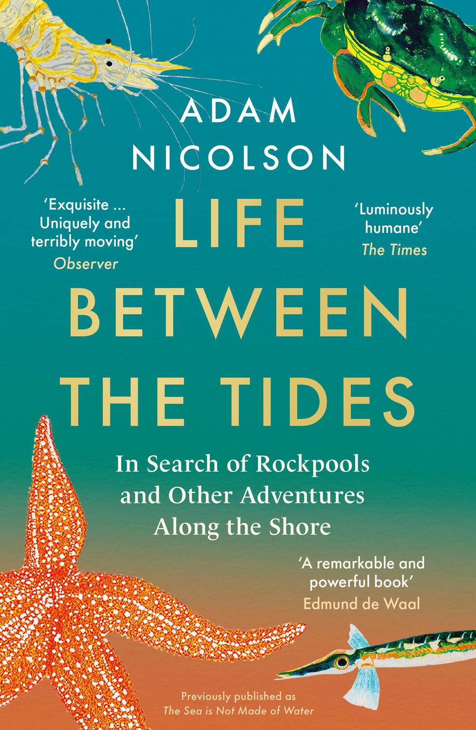 Cover: 9780008294816 | Life Between the Tides | Adam Nicolson | Taschenbuch | 368 S. | 2022