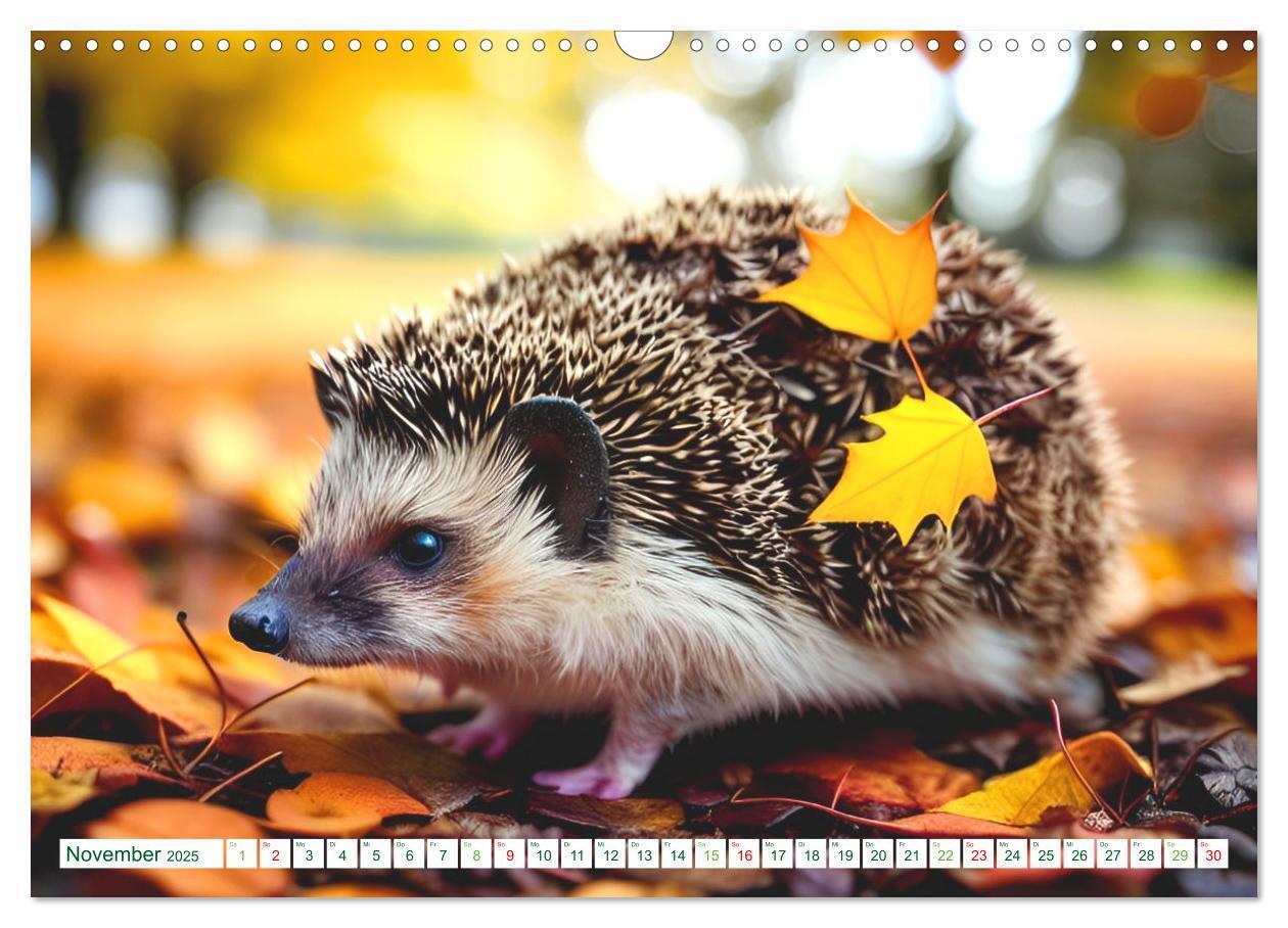 Bild: 9783383868726 | Niedliche Igel (Wandkalender 2025 DIN A3 quer), CALVENDO...