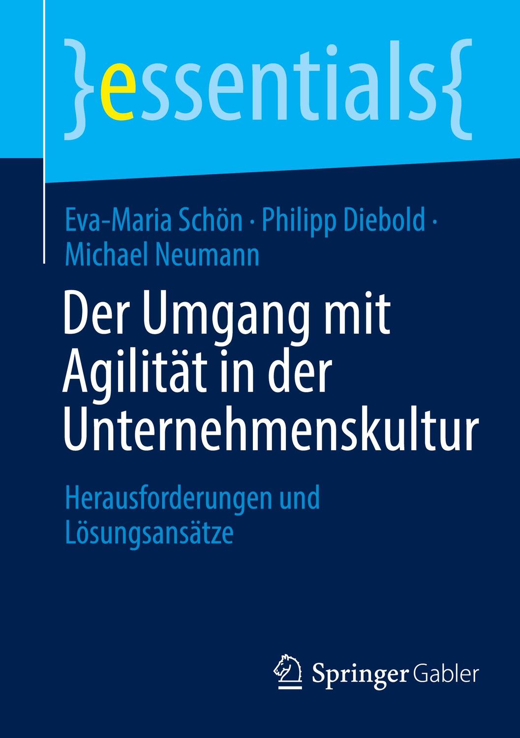 Cover: 9783662678909 | Der Umgang mit Agilität in der Unternehmenskultur | Schön (u. a.) | ix