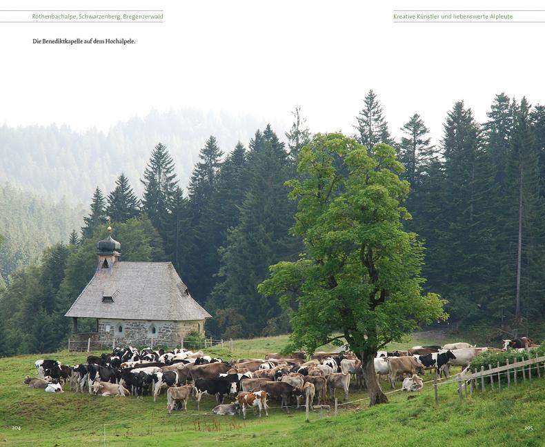 Bild: 9783706625357 | Vorarlberger Alpgeschichten | Irene Prugger | Buch | Deutsch | 2015