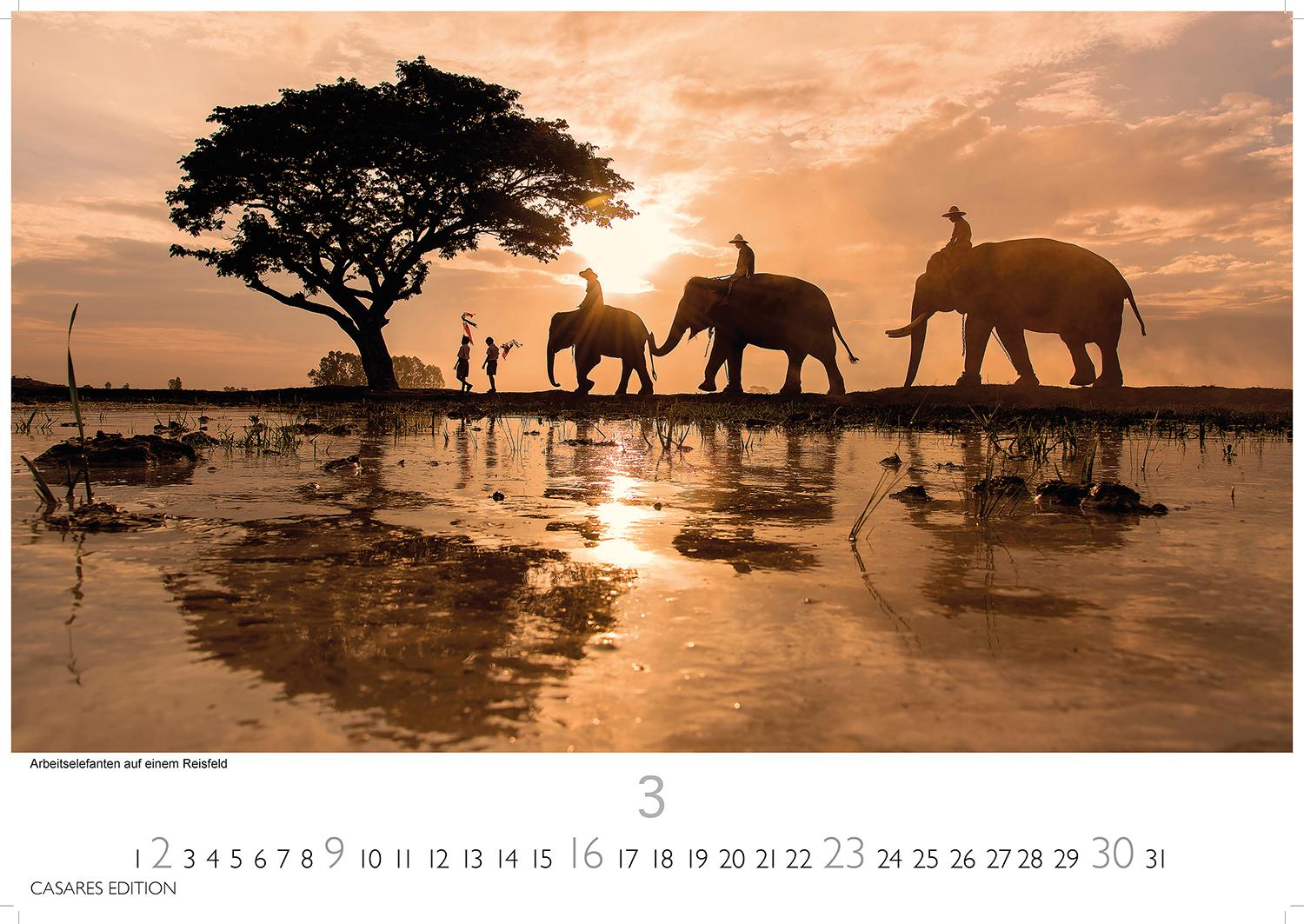 Bild: 9781835242353 | Myanmar 2025 S 24x35cm | Kalender | 14 S. | Deutsch | 2025