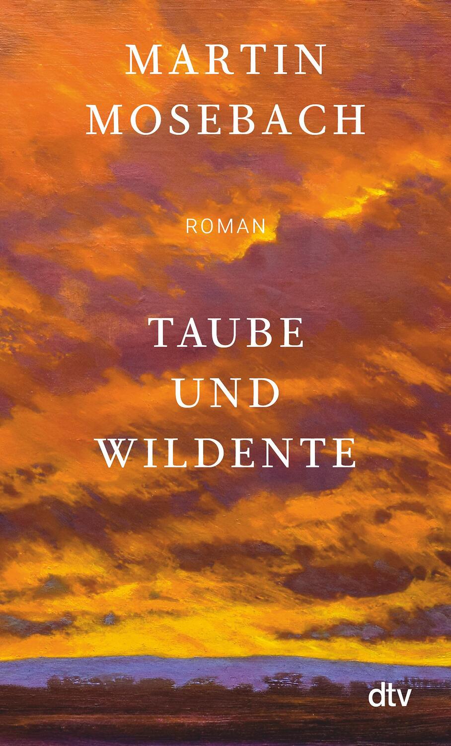 Cover: 9783423148894 | Taube und Wildente | Martin Mosebach | Taschenbuch | 336 S. | Deutsch