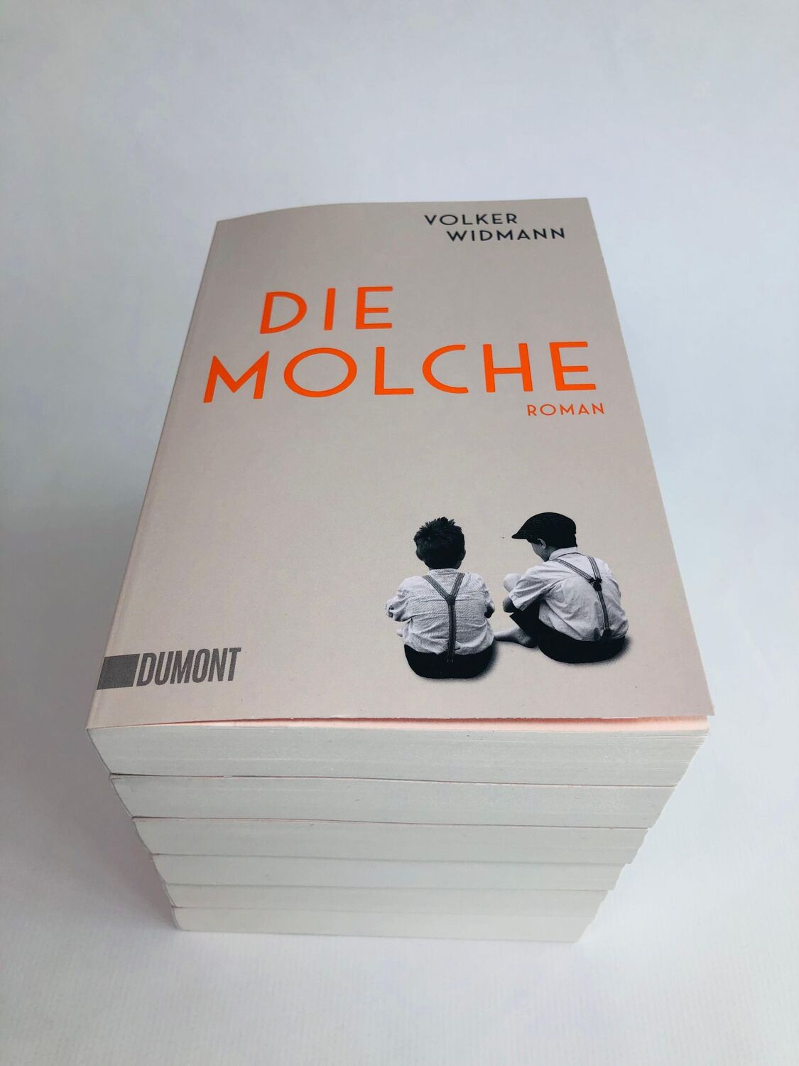 Bild: 9783832166779 | Die Molche | Roman | Volker Widmann | Taschenbuch | 256 S. | Deutsch